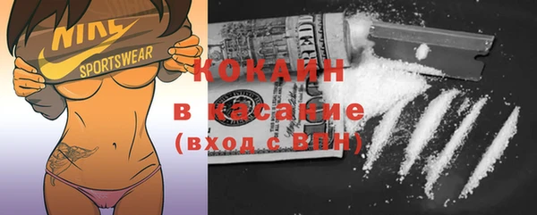 твердый Аркадак
