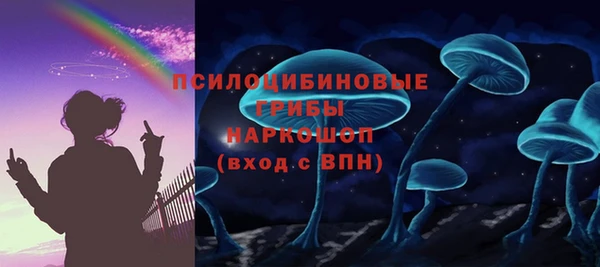 твердый Аркадак