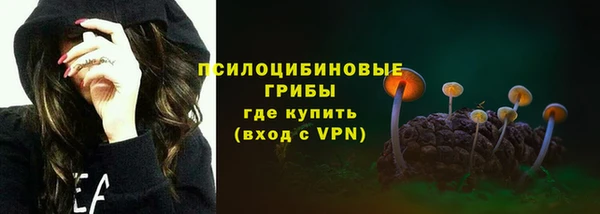 твердый Аркадак