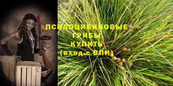 apvp Арсеньев