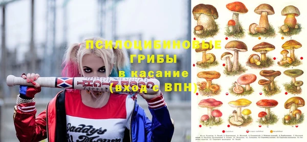 дурь Пересвет