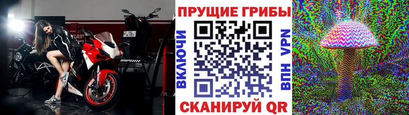 Галлюциногенные грибы MAGIC MUSHROOMS  как найти наркотики  Семикаракорск 